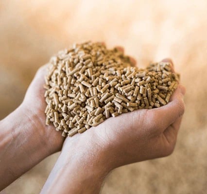 Manna Feeds Tamilnadu